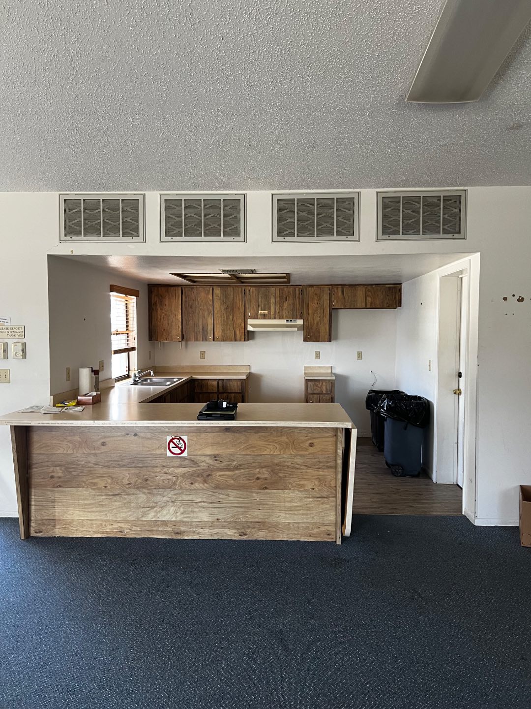 New kitchen cabinet before